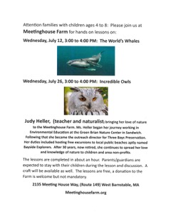 Whales and owls at Meetinghouse Farm